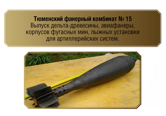 Инфографика: Тюмень на фронт!