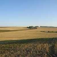 Когда цель одна: сохранить землю