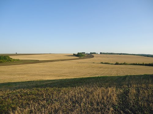 Когда цель одна: сохранить землю