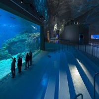 1-blue-planet-aquarium-by-3xn