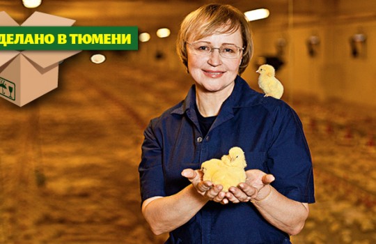 Тюменское «Рококо»