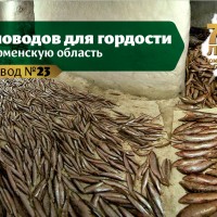 Ямальский мерзлотник