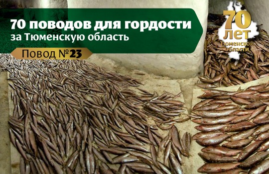 Ямальский мерзлотник