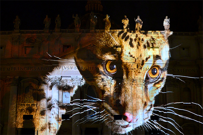 vatican-photo-ark-wildlife-photos-3