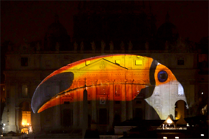 vatican-photo-ark-wildlife-photos-4