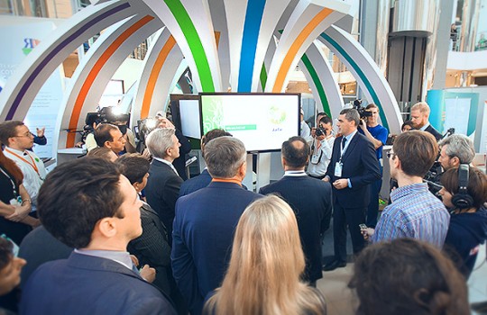 Информационная безопасность