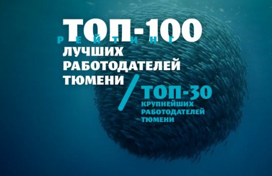 100 лучших работодателей Тюмени. Масштабное исследование tmn