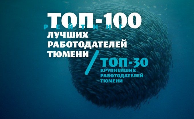 100 лучших работодателей Тюмени. Масштабное исследование tmn