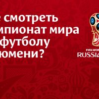 10 мест Тюмени, где можно посмотреть трансляции чемпионата мира по футболу