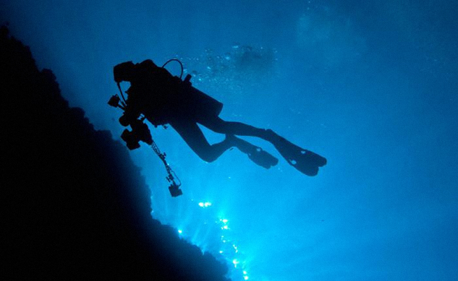 Подводный мир Эгейского моря