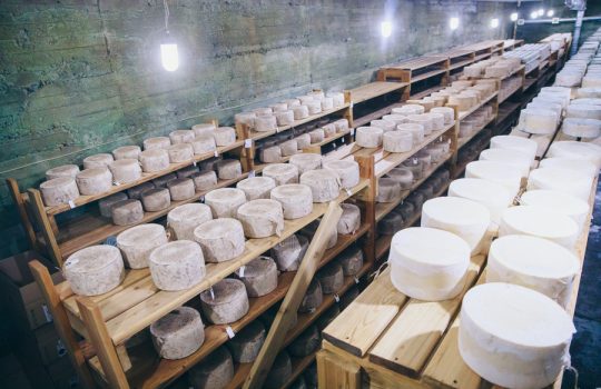 Уральские мастера сыроварения
