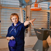 «Местные друг друга не подводят»