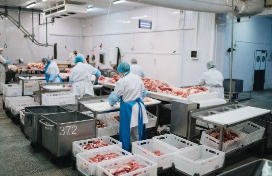 Тюменские предприятия увеличили производство важнейших продуктов питания